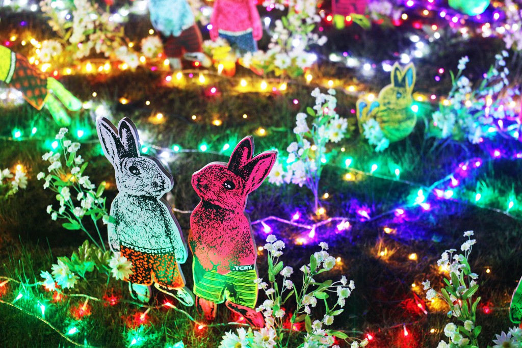 Bunny brightens up at night
