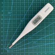 Thermometer Pic for FRF 2021 Article 2